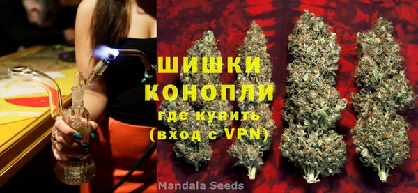 эйфоретик Алзамай