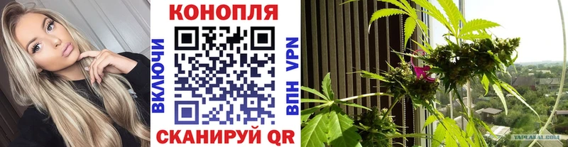 продажа наркотиков  Лодейное Поле  mega как зайти  Бошки марихуана Ganja 